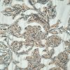 Broderie bogata cu liane și flori din paiete pe suport tulle, Argintiu