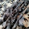 Broderie cu bordură lată din flori aplicate pe suport tulle, Negru