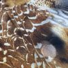 Tesatura voal elastic din matase naturala, animal print