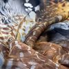 Tesatura voal elastic din matase naturala, animal print