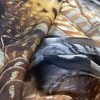 Tesatura voal elastic din matase naturala, animal print