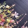 Tesatura voal jacquard din matase naturala cu bordura cu flori pe o latura
