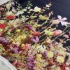 Tesatura voal jacquard din matase naturala cu bordura cu flori pe o latura
