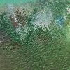 Tesatura cu paiete translucide - design glossy green