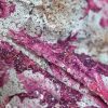 Tesatura cu paiete  imprimate - design floral, Cyclamen- Roz - Bej