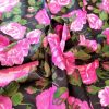 Tesatura din matase naturala cu in tip shantung , design floral, Roz - Verde - Negru