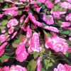Tesatura din matase naturala cu in tip shantung , design floral, Roz - Verde - Negru