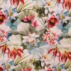Bumbac, jacquard elastic