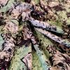 Jacquard