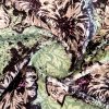 Jacquard