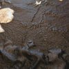 Jacquard
