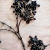 Dantelă cu flori și paiete negre