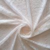 Dantelă chantilly