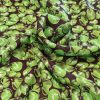 Mătase naturală, crepe de Chine
