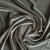 Catifea elastica
