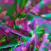 Tesatura din viscoza imprimata  - design floral, Mov - Violet - Verde