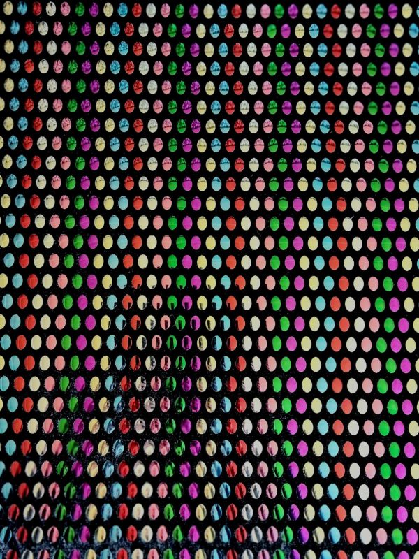 Catifea elastica cu paiete multicolore aplicate, Multicolor