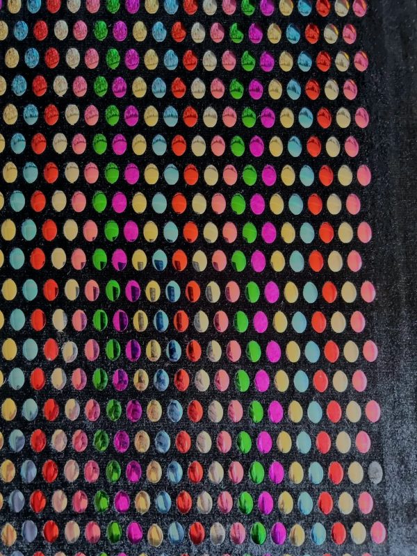 Catifea elastica cu paiete multicolore aplicate, Multicolor