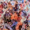 Broderie sparta pe voal imprimat floral - design Valentino, Multicolor
