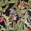 Bumbac elastic imprimat  - design floral