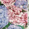 Țesătură din mătase Naturală- twill cu design floral, Rosu - Albastru - Lavanda - Verde