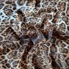Tesatura crepe de chine din matase naturala  - animal print