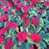 Țesătură din dantela plină - design floral