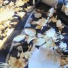 Voal din matase naturala cu design floral, Negru/Galben - imagine 2