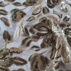 Tesatura cu paiete glossy brodate pe tulle elastic - design floral, Galben Auriu