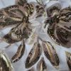 Tesatura cu paiete glossy brodate pe tulle elastic - design floral, Galben Auriu - imagine 7