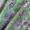 Tesatura jacquard double face  - design exotic, Cyclamen/Verde - imagine 3
