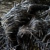 Broderie pe tulle cu margele tubulare si micropaiete, Negru