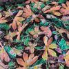 Tesatura brodata plina - design floral, Lila/Roz/Bleumarin - imagine 10