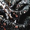 Tesatura cu paiete pe suport de tulle elastic, Negru intens - imagine 5