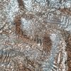 Tesatura gofrata - jacquard tip organza cu fir metalizat, Argintiu - imagine 5
