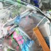 Tesatura plina jacquard - design floral supradimensionat, Multicolor - imagine 7