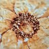 Tesatura brodata cu efect 3D pe suport de tulle imprimat floral, Galben - imagine 10