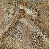 Tesatura din matase naturala - Design Animal Print, Maro Bej - galbui - imagine 5