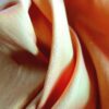 Tesatura de in cu design uni , Orange cu tenta cyclamen - imagine 8