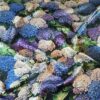 Tesatura jacquard din matase naturala - design floral, Albastru Violet Alb Verde