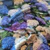 Tesatura jacquard din matase naturala - design floral, Albastru Violet Alb Verde - imagine 6