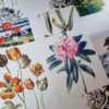 Tesatura Organza din matase naturala cu Imprimeu patchwork floral,  Multicolor pe fond Ivoire - imagine 11