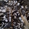 Dantela cu broderie și micropaiete aplicate pe suport de tulle fin, alb negru