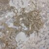 Dantela cu broderie și paiete translucide ivoire, cu fir auriu aplicat pe suport de tulle fin crem - imagine 8