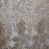 Dantela cu broderie și paiete translucide ivoire, cu fir auriu aplicat pe suport de tulle fin crem - imagine 10