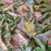 Țesătură premium, Dantela brodata cu flori de câmp multicolore pe suport de tulle delicat nude - imagine 5