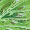Dantela spartă - model exotic cu frunze filodendron, Verde - imagine 7