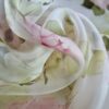 Tesatura Organza Imprimată cu flori pastel roz pe fond ivoire - imagine 10