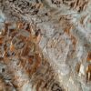 Tesatura Jacquard cu inserții de fir lurex -  design floral, Cupru / Auriu - imagine 5