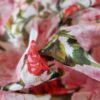 Tesatura din bumbac fin - triplu voal cu design floral, Roz / Ivoire / Verde - imagine 4
